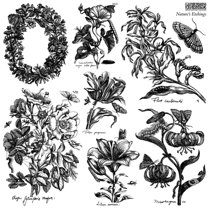Nature’s Etchings Decor Stamp by Iron Orchid Design