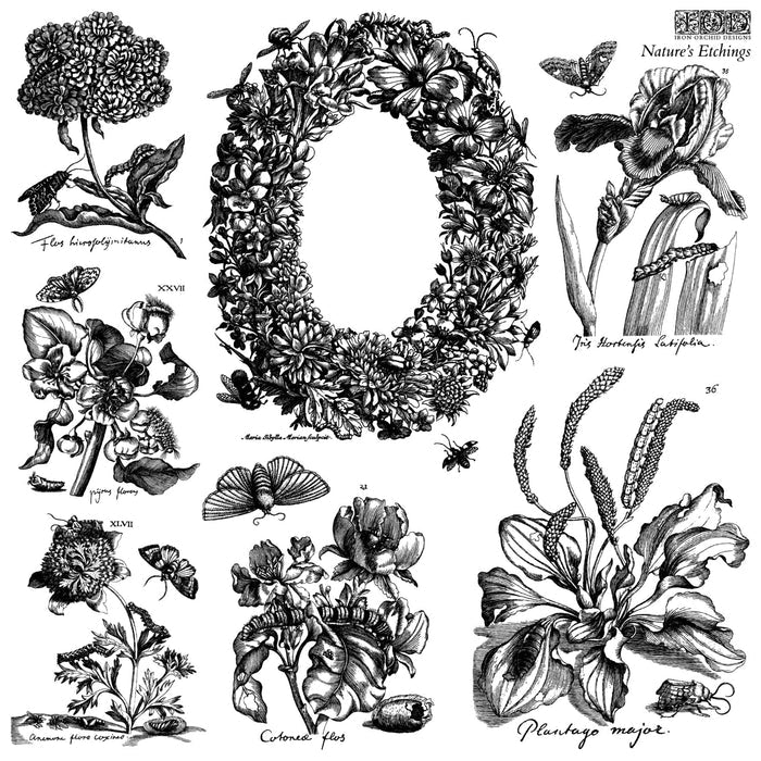Nature’s Etchings Decor Stamp by Iron Orchid Design