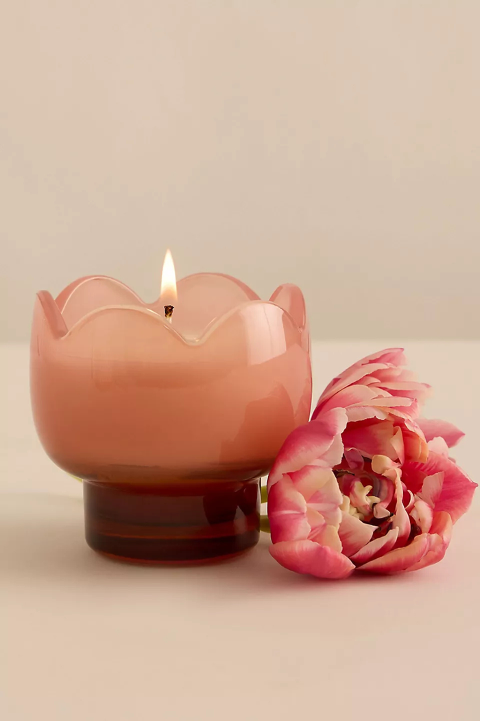 Paddywax-Tulip-Glass-Candle-Cactus-Flower