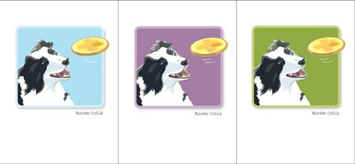 The PAPER RUSSELLS - BORDER COLLIE & FRISBEE NOTE CARDS feature a black and white Border Collie gazing at a yellow frisbee against a light blue background, printed on eco-friendly recycled paper by PAPER RUSSELLS.