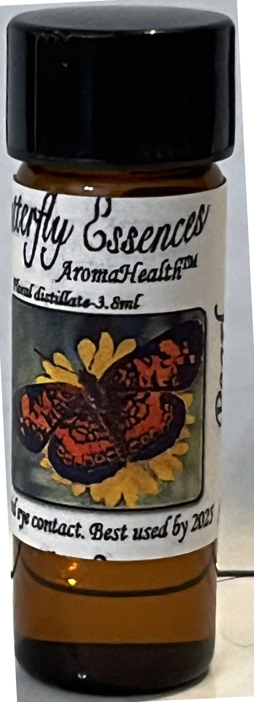 Pearl Crescent (Phyciodes tharos)