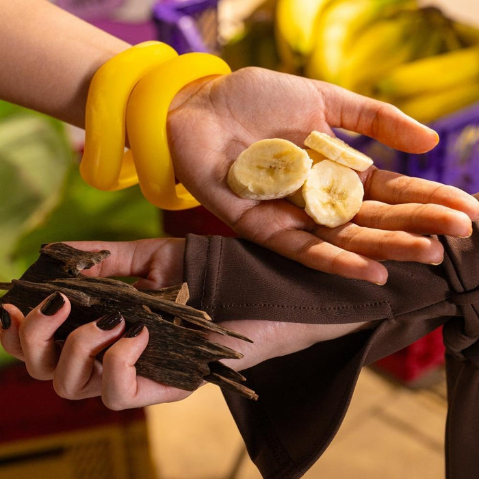 Close-up of hands holding sliced bananas and a small lizard with a blurred background