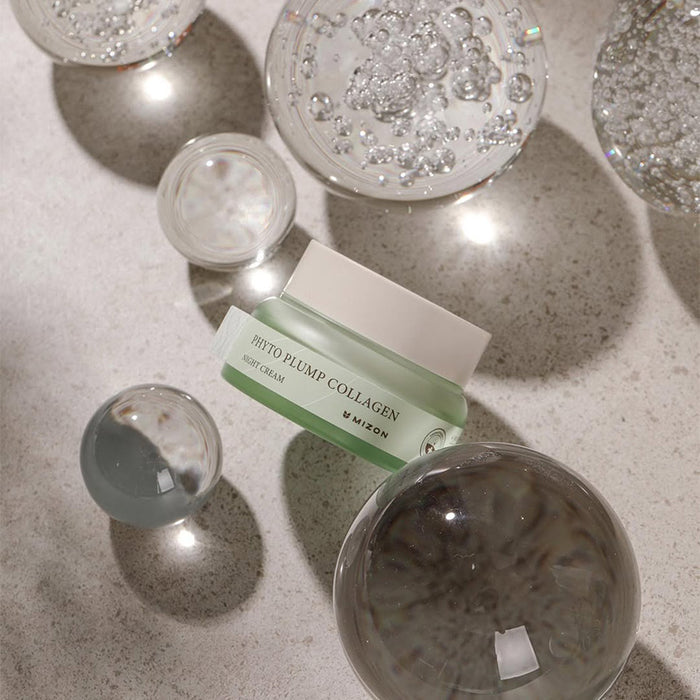 Phyto Plump Collagen Night Cream