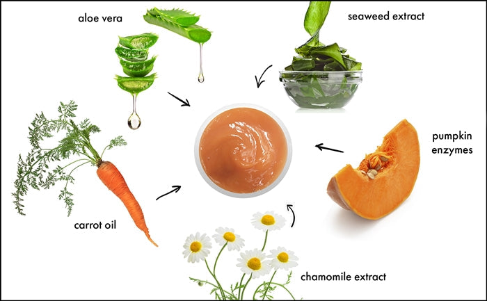 PUMPKIN ENZYME PUREE (127) - rayaspa
