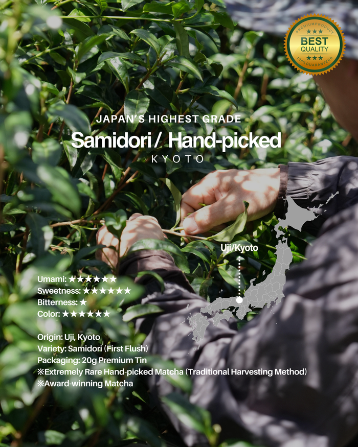 Samidori (Uji) /  Hand-picked Uji Matcha  / ※20g tin