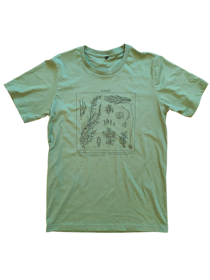 Seaweed ID Tee | Organic Cotton | Waterlust