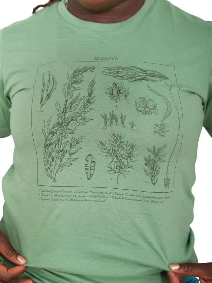 Seaweed ID Tee | Organic Cotton | Waterlust