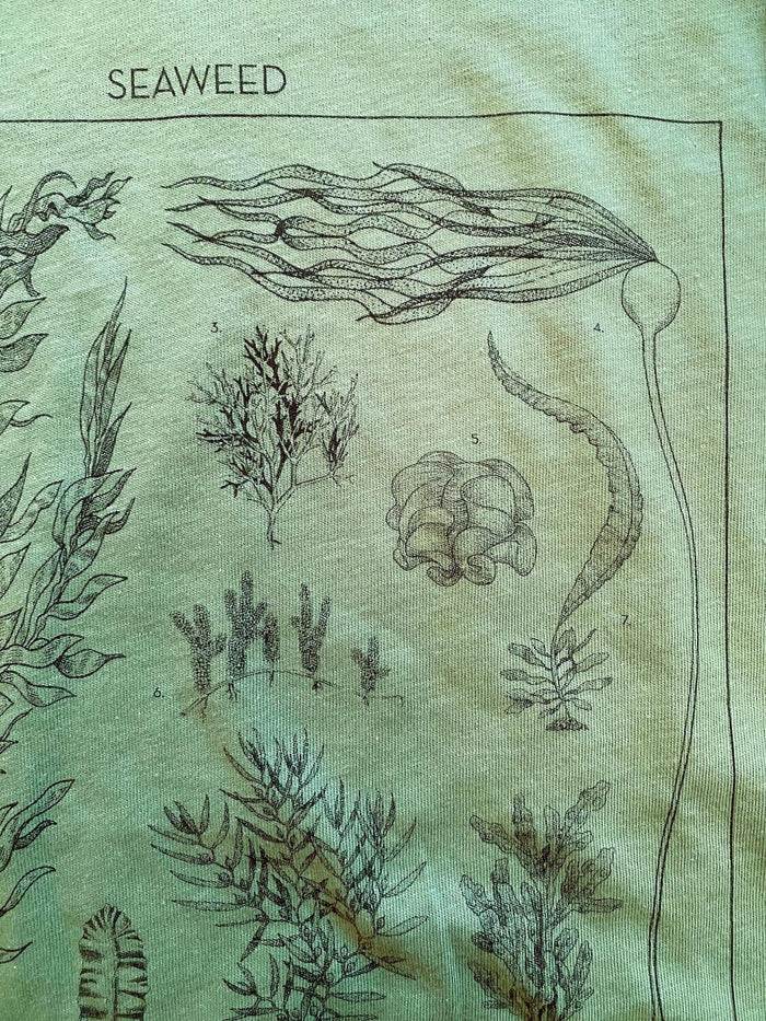 Seaweed ID Tee | Organic Cotton | Waterlust