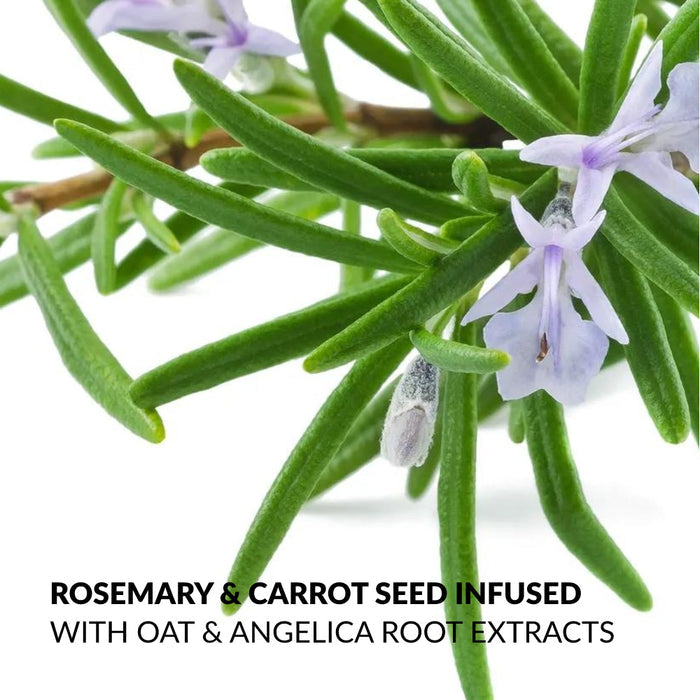 Senses Essence Rosemary & Carrot Seed Gift Set
