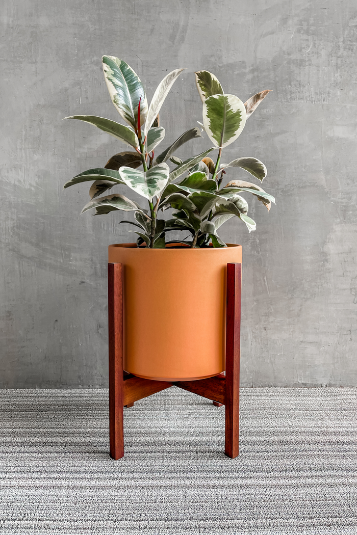 Dark Wood Solid Goods Plant Stand-LBE Design-ECOVIBE