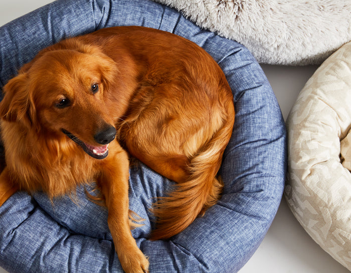 Stonewash Donut Bed