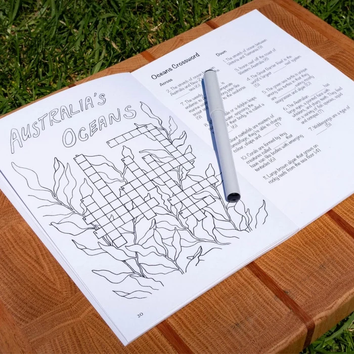 Sunshine Sea Art Activity Book - Aussie