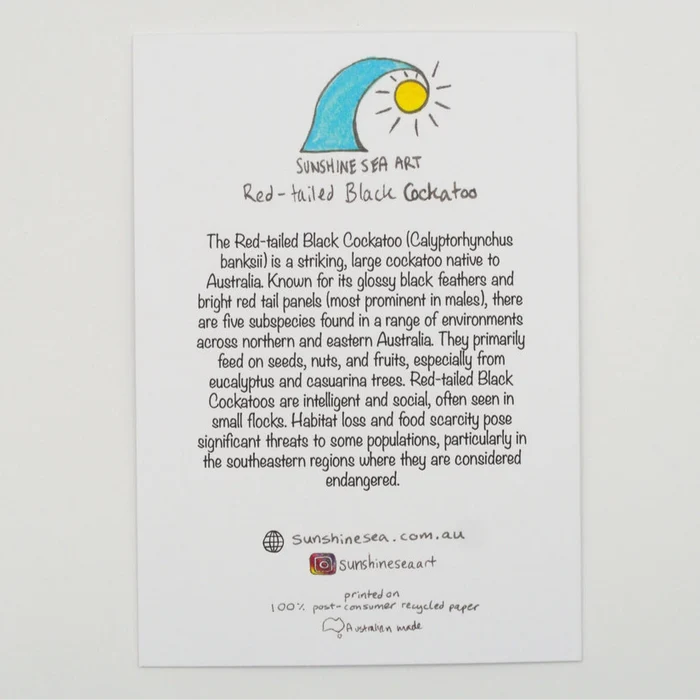 Sunshine Sea Art Greeting Card - Red-Tailed Black Cockatoo