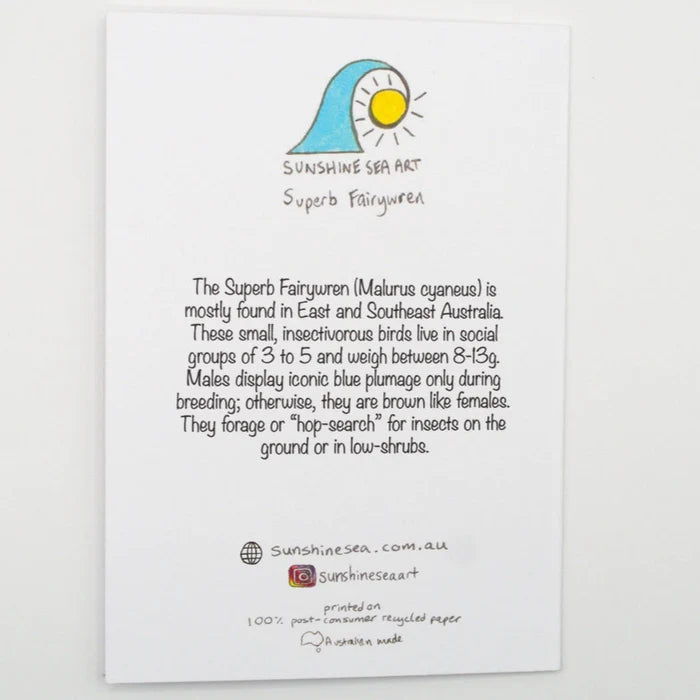 Sunshine Sea Art Greeting Card - Superb Fairy Wren