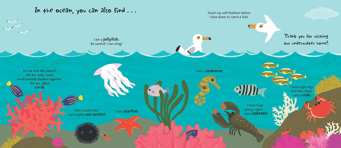 The Ocean Touch and Explore Book