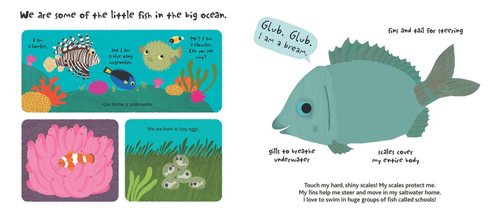 The Ocean Touch and Explore Book