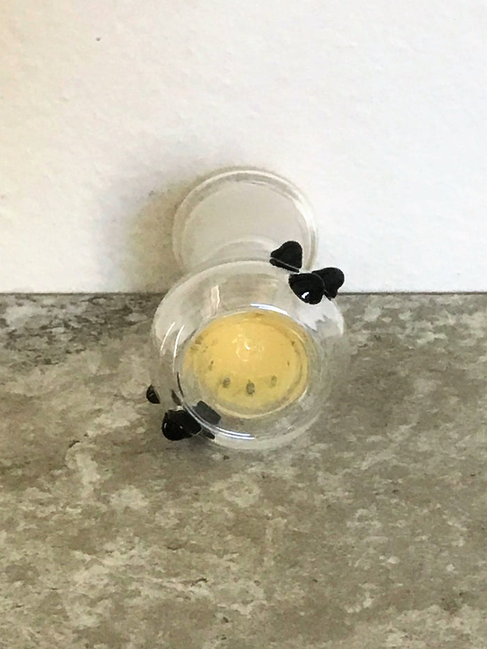 Thick Glass 18mm Female Round Slide Bole with Built-in-Screen - Gold w/Black Dots