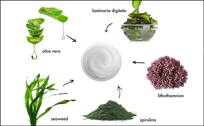 ULTRA-LIGHT SEAWEED DAY CREAM (304) - rayaspa