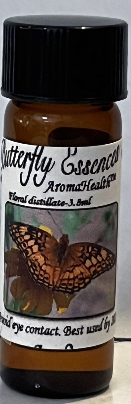 Variegated Fritillary (Euptoieta claudia)