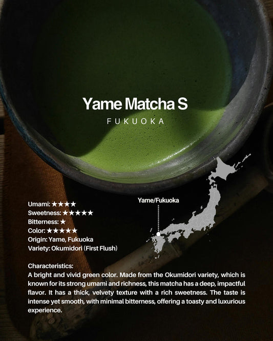 Yame Matcha S / 100g (5 × 20g Packs)