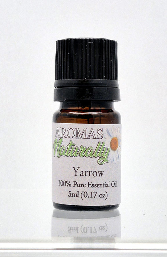 Yarrow Essential Oil (Blue) - 5 ml